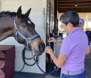 sully-flower-essence