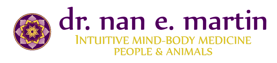 Dr. Nan Martin Logo