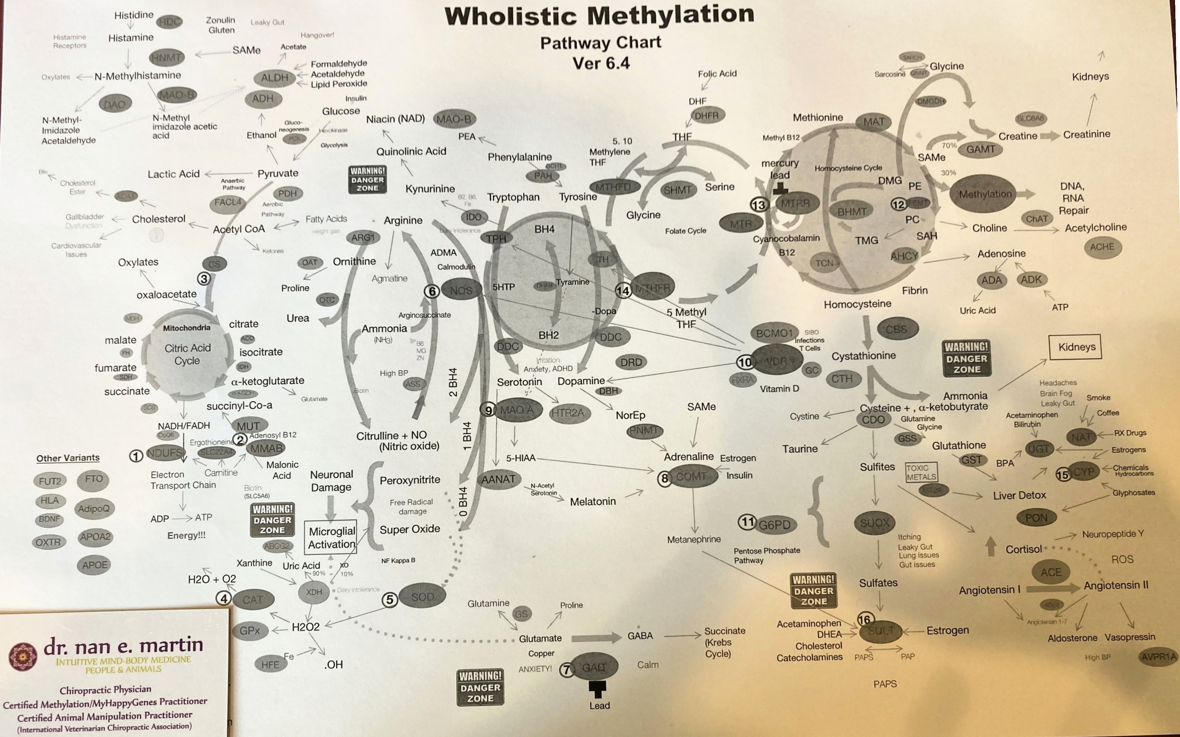 Methlyation-Map-2025