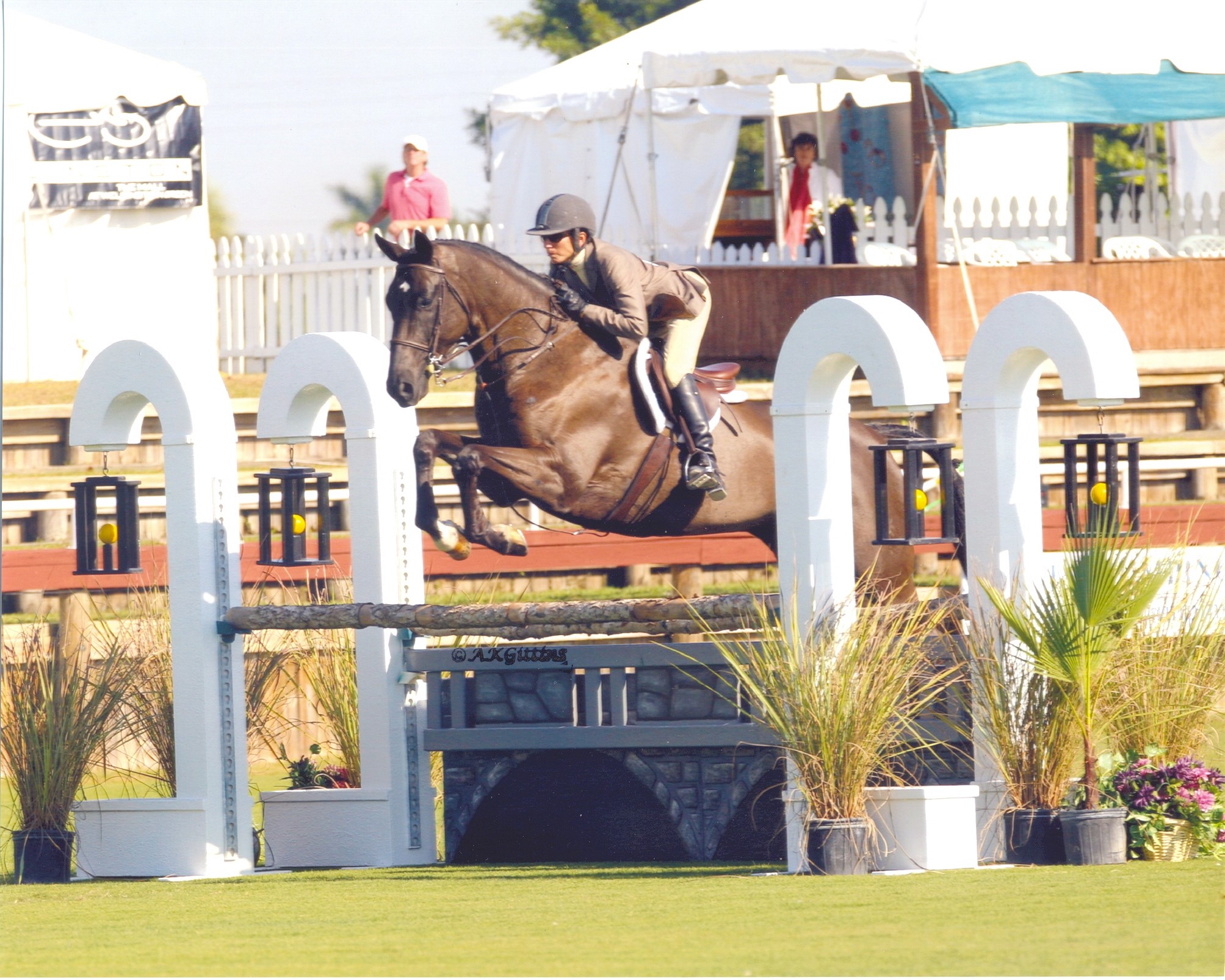 Nan riding Harlem at National Horse Show Wellington FL